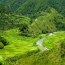 계곡&풍경 이미지