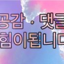 엄마손모듬전 이미지