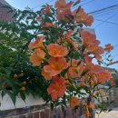 까사피에스타 원주점 이미지