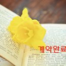 도봉-도봉-서울도봉-2101 이미지
