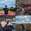 ⭐제주 3박 4일 여행코스(숙소, 렌터카, 카멜리아힐, 귤체험, 온천 등 놀거리 포함)