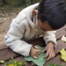 홀츠하임어린이집 이미지