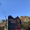조안베어뮤지엄 | 제주 서귀포 중문 가볼 만한 곳 조안베어뮤지엄 후기