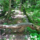 제주불교성지 순례길 절로 가는길 - 정진의 길 이미지