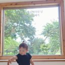 바닐라브릭 이미지