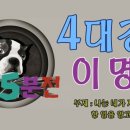 청산-4 이미지