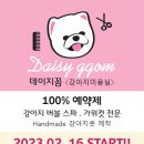 데이지꼼 이미지