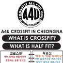 A4U 크로스핏 이미지