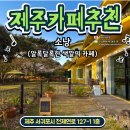 (제주) 제주 서귀포 중문 소낭 카페/서귀포 애견카페 중 가장 알록달록하지 않을까...!?