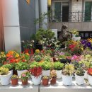 계룡산콘도텔 이미지