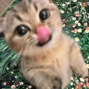 깔 이미지