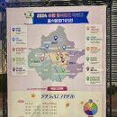 호매실벚꽃음식문화거리 이미지