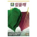 다농 이미지