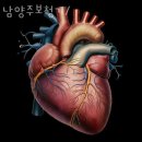 현대종합의료기 네이버블로그