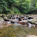 물한계곡민박 | 아이랑 계곡 어디가지? 물한계곡 후기｜캠핑장·민박 위치부터 취사팁까지 완전정복!