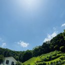 용인농촌테마파크 숲속도서관 이미지