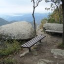 엄사초등학교 이미지