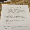 국가건강검진 양주 나무정원 맘모톰, 원추절제술 후기