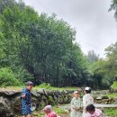 대림교육