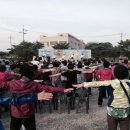 당진3동 이팝나무 이미지