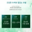 소노지아 이미지