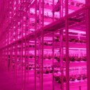 광선농장 이미지