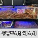포항 구룡포 시장 주차장, 홍게, 대게 시세, 식당 방문 후기