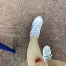 준마테니스파크