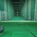 화이트 골프연습장 | 부천골프샵 젝시오 14 화이트 여성 아이언 명절 선물 구입 후기