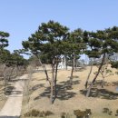 충곡로 | 아이와 함께 봄 가족 나들이, 논산 계백장군 유적지 최고!