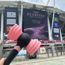 블링크 | 2025 BLACKPINK 블랙핑크 콘서트 후기 / 블링크가 되버려