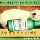 허* - 미추홀구 수봉남로6번길 84 | 허*