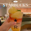 세븐일레븐 제주송당마을점 | 제주 송당 동화마을 스타벅스 추천 뷰맛집