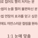 인생눈썹