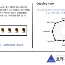 트리니티커피팩토리전