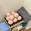 림필라테스 | 울산 남구 필라테스 5:1 그룹 수업 후기, 필라테스 림