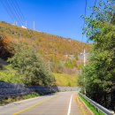 소금강주유소 이미지