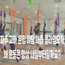 교하제일약국 | 파주 교하 운정 야당 애플 플라잉 요가/왜 운동은 항상 내일부터일까요?