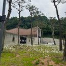 남양성지로 | 남양성모성지 우연히 만난 [피아노 무료공연] 관람 후기
