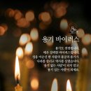 📢7월 22일 금요일 간추린 아침뉴스 📢 이미지