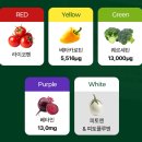 제노시스바이오연구소(주) | 지엠바이오 식이섬유 프리미엄 파이토케미컬 파우더