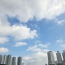 주말공원 | 동탄호수공원 주말 산책 후기~ 분위기·맛집·구경거리까지 완벽