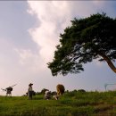 감천 소리 이미지