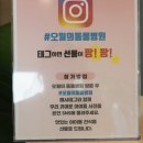 오월의 동물병원 네이버블로그