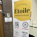강아지 호텔 이미지