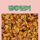 채원유통 이미지