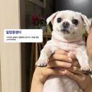 고성태권도 | 망년회 성공적🍀 풀빛고성