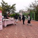 아미딸기 쿠키뉴스