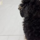P-5407 | [살림] 보이지 않는 냄새 / 세정 티슈 한 장으로 탈취까지 해결