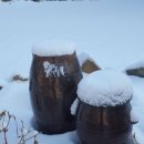 꽃뜨락민박 이미지